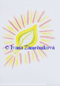 Pravotočivá bioenergie listu